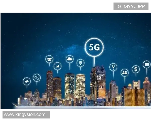 赖斯的外交智慧与全球战略影响力分析与展望